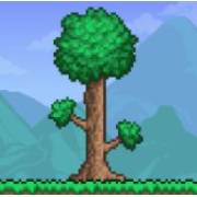 Download Terraria 1.4.4.9 APK Latest For Android